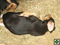 thn_NZ leden-unor 2006 084.jpg